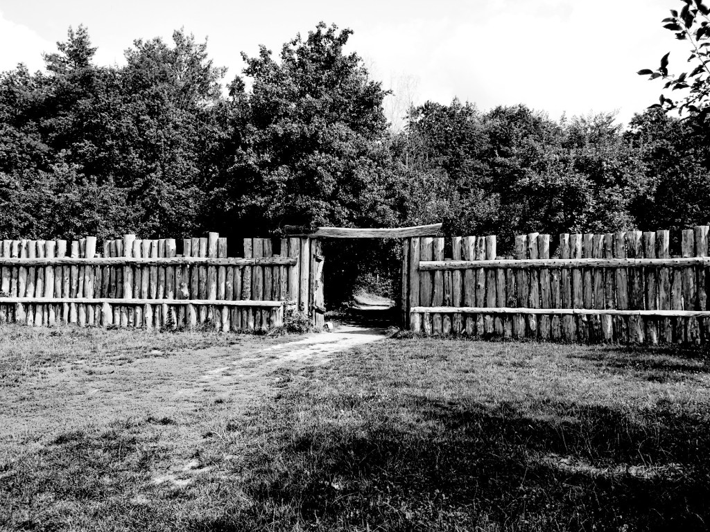 Rollespils relation til&nbsp;regler